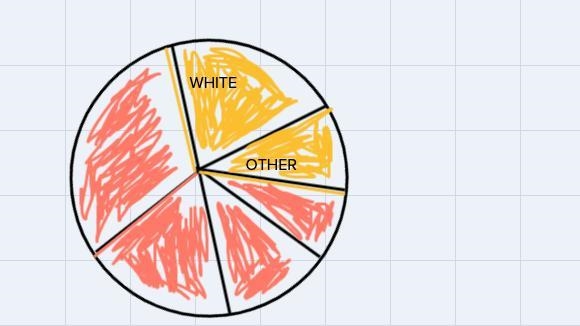 B) Approximately what percentage of customers chose other or white? Write your answer-example-1