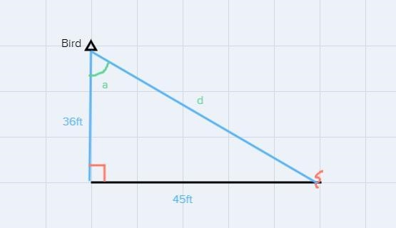 A bird spots a worm on the ground. The bird is 36 feet above the ground and with a-example-1