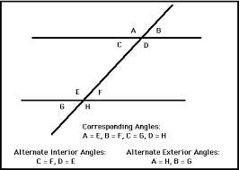 PLEASE HELP! Vertical angles 5 & 6 (3x-15)° and (2x+7)°-example-1