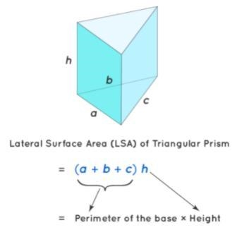 Find the lateral surface area of the triangular prism. Refer to your STAAR 8th Grade-example-2