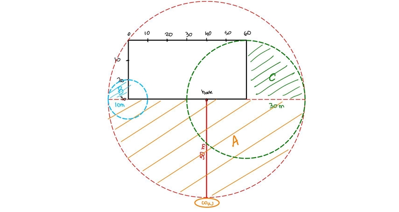 : A cow is tethered by a rope 50 m long. The rope is fastened to a hook which is located-example-3