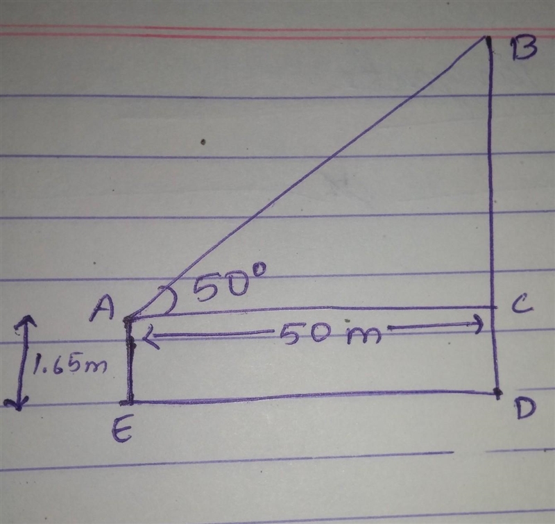 a woman 1.65. tall stood 50m away from the foot of a tower,and observe that the angle-example-1