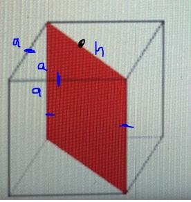 Question is down below. 1st drop down menu A.triangle B.square C.rectangle 2nd drop-example-1