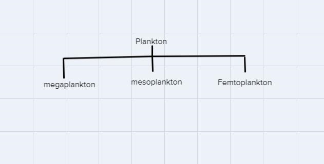 ActivityPlankton are classified based on their size. There are different types of-example-1