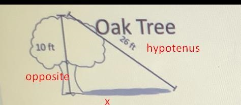 Use this picture to answer the question. If the oak tree is 2 feet taller, with the-example-1