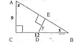 41) In right triangle ABC, AC = 9 and BC = 12 The sine of angle y is-example-1