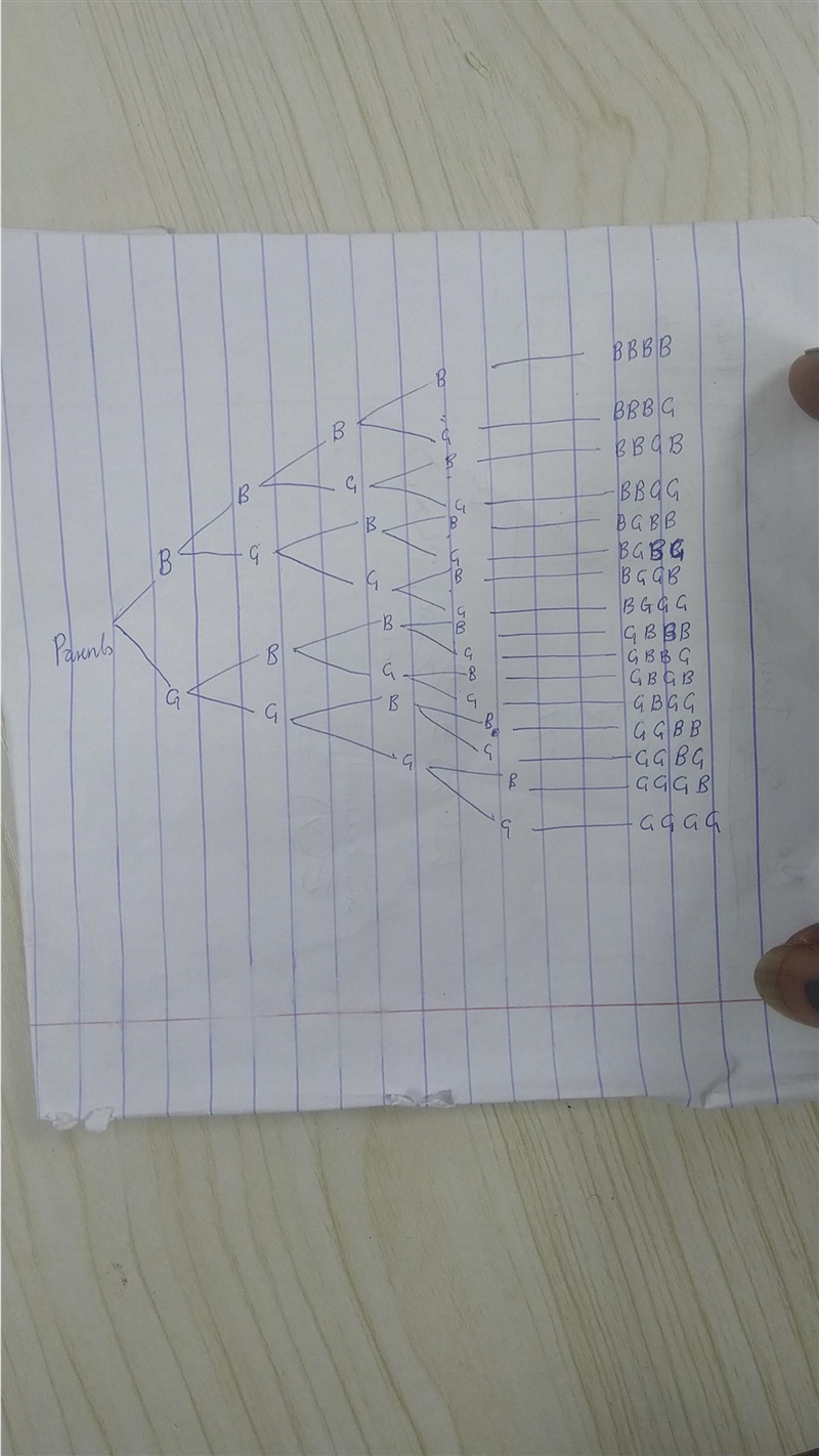 using a tree diagram what are the total possible outcomes for a pair of people that-example-1