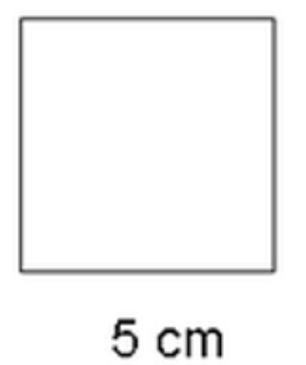 Find the area of the square.10 cm^225 cm^220 cm^25 cm^2-example-1