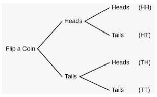 You flip a coin twice.What is the probability of getting a head and a head?Simplify-example-1