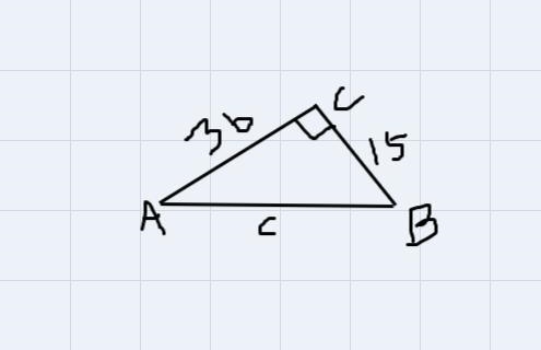 Finding length of hypotenuse d is marked bc I jus needed to press an answer-example-1