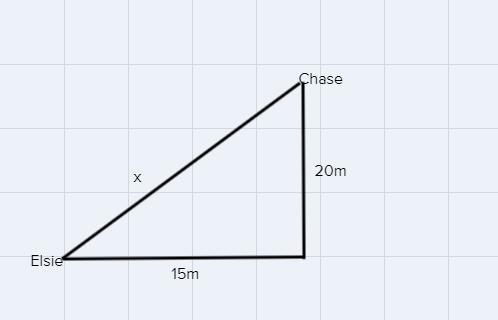 Chase is mountain climbing with Elise and has just climbed a 20-meter vertical rock-example-1