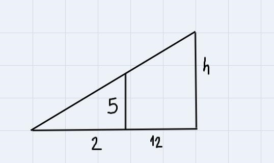 Logan wants to determine the height of an electric pole in her back yard. The pole-example-1