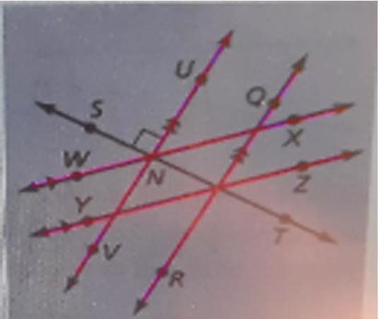 1) The given line markings show how the roads in a town are related to each other-example-2