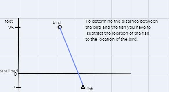 5) A bird, flying 25 feet above the sea, spotted a fish swimming 7 feet below the-example-1