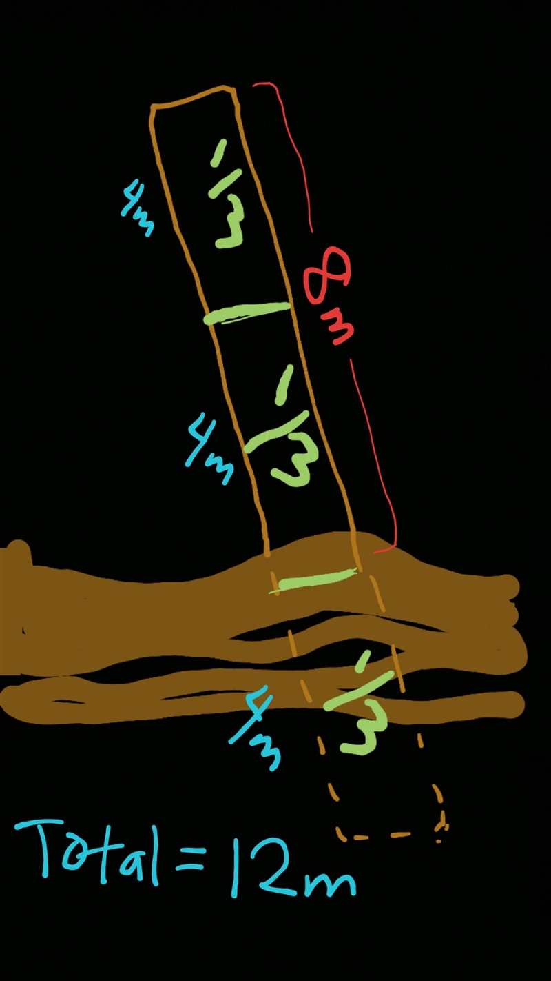 A log is partly buried in the mud. One third of the log is buried and 8 meters of-example-1