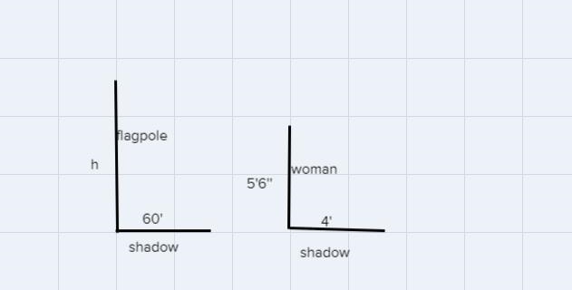 ￼A flagpole Casts a shadow that is 60 feet long. At the same time, a woman standing-example-1