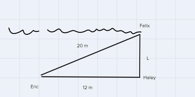 Haley is deep-sea diving with two friends. Eric is exploring a coral reef 12 meters-example-1