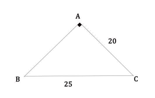 Find the length of the third side. If necessary, round to the nearest tenth. 20 25 Answer-example-1