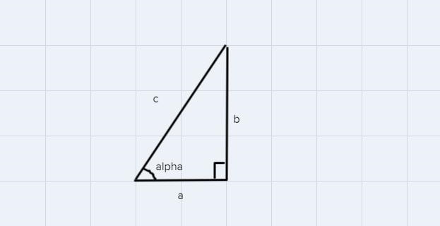 Both Pythagorean theorem and trigonometry ratios are used with right triangles. Explain-example-1