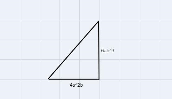 GEOMETRY Express the area of each figure as a monomial. a. 10a3b4b. 12a2b4c. 12a3b-example-1