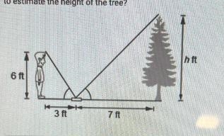 The figure shows a person estimating the height of a tree by looking at thetop of-example-1