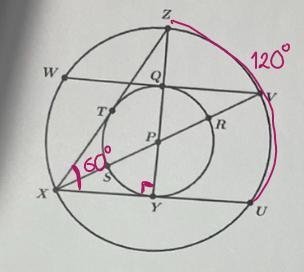 Hello, I'm currently struggling with mygeometry homework. I need help with XU, ZYand-example-1