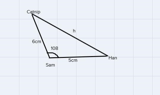 A Siamese cat named Sam is 6 m from a catnip plant. The Siamese cat is 5 m from a-example-1