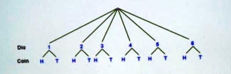 Make a tree diagramPlease be quick, I am in a hurry.-example-1