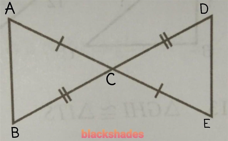 Justify the congruence between each of the following pairs of triangle.​-example-1