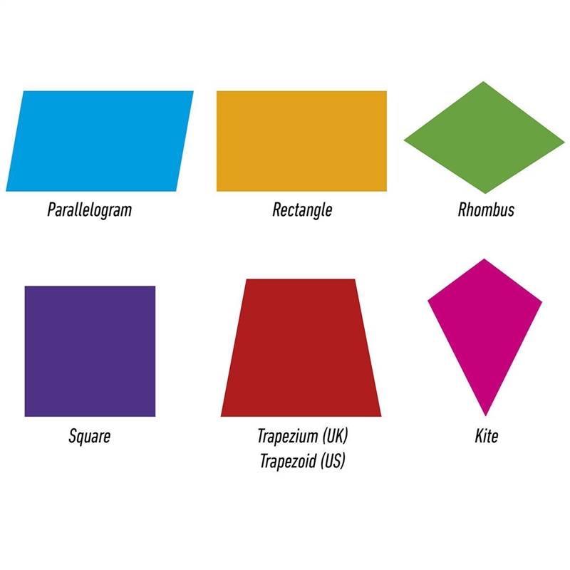 To construct the quadilateral, we need to know the two diagonals and______sides​-example-1