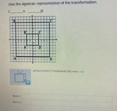 Question 3 (1 point)Give the algebraic representation of the transformation.Xy)ddf-example-1