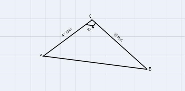 The bear area at a zoo is designed in a triangular fashion, surrounded on all three-example-1