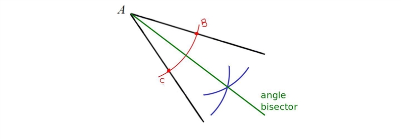 Use a straightedge and compass to Construct the angle bisector of the angle below-example-5