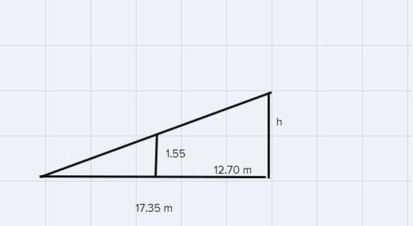 zoe is 1.55 meters tall. at 2 pm she measure the lenght of a tree's shadow to be 17.35 meters-example-1