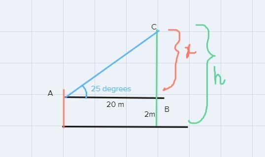 a man is standing 20m from a large tree. he can see the top of the tree with an angle-example-1