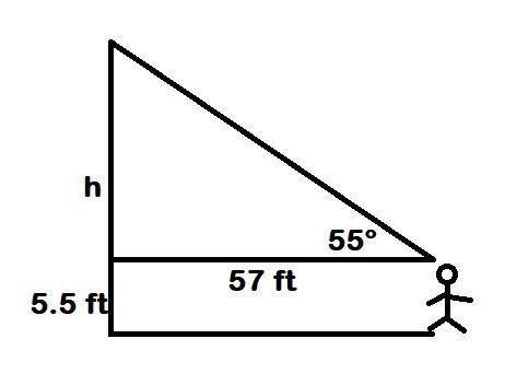 you look up a 55° degree angles to see the top of a building. The vertical distance-example-1