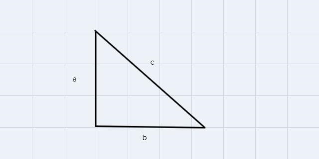 How far above the ground is the dog's paw? Express your answer to the nearest inch-example-1