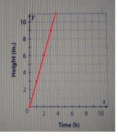 Read each situation carefully and then complete the table and graph then describe-example-2