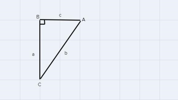 Determine which of the two acute angles has a cosine ofB 6 A8COS1011//CT/P-example-1