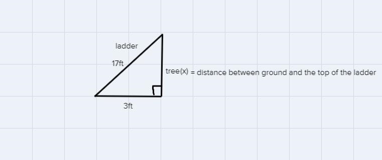 A 17- foot ladder is leaning on a tree. The bottom of the ladder on the ground at-example-1