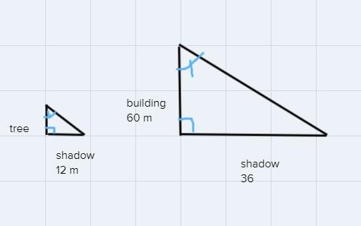 A tree casts a shadow 12 meters long. At the same time, a building 60 meters tall-example-1