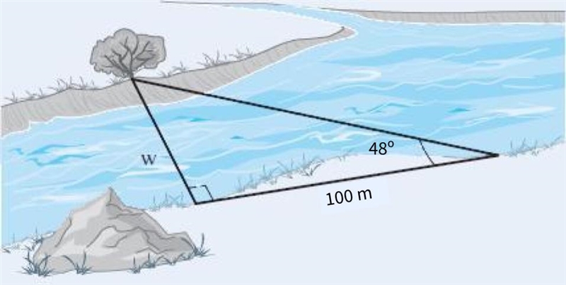 Find the width (in m) of the river in the illustration. (Round your answer to three-example-1