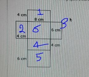 Find the surface area of the following figure: (Area of a rectangle: A = lw) 4 cm-example-1