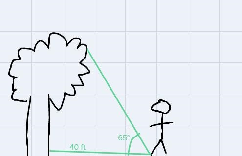 You are measuring theheight of a tree. You stand 40 feet from the base of the tree-example-1