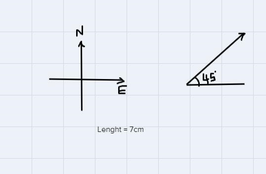 Draw the following vectors using the scale 1 cm = 50 km/h. Plant the tail at the origin-example-3