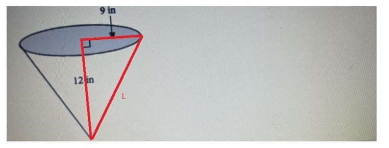 Find the surface area. Round to the nearest tenth.12 inI19 in-example-2