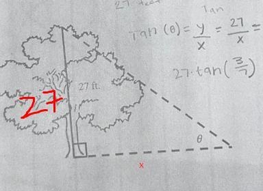 How far are you to the nearest foot from the base of the tree.Question 15-example-1