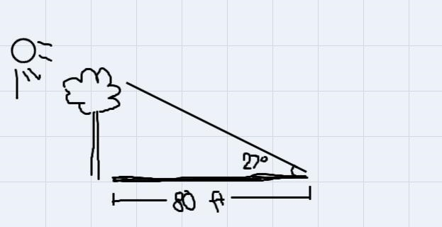 45. A tree casts a shadow that is 80 ft. long when the angle of elevation of the sun-example-2