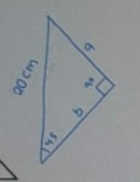 I need help with geometry. Were learning similarity and i have a test soon but im-example-2