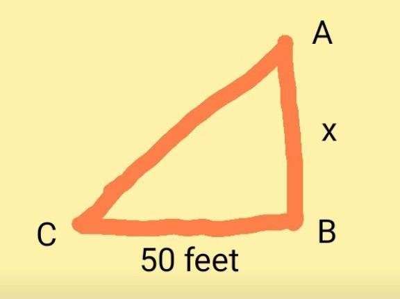 At a point on the ground 50 feet from the foot of a tree, the angle of elevation to-example-1